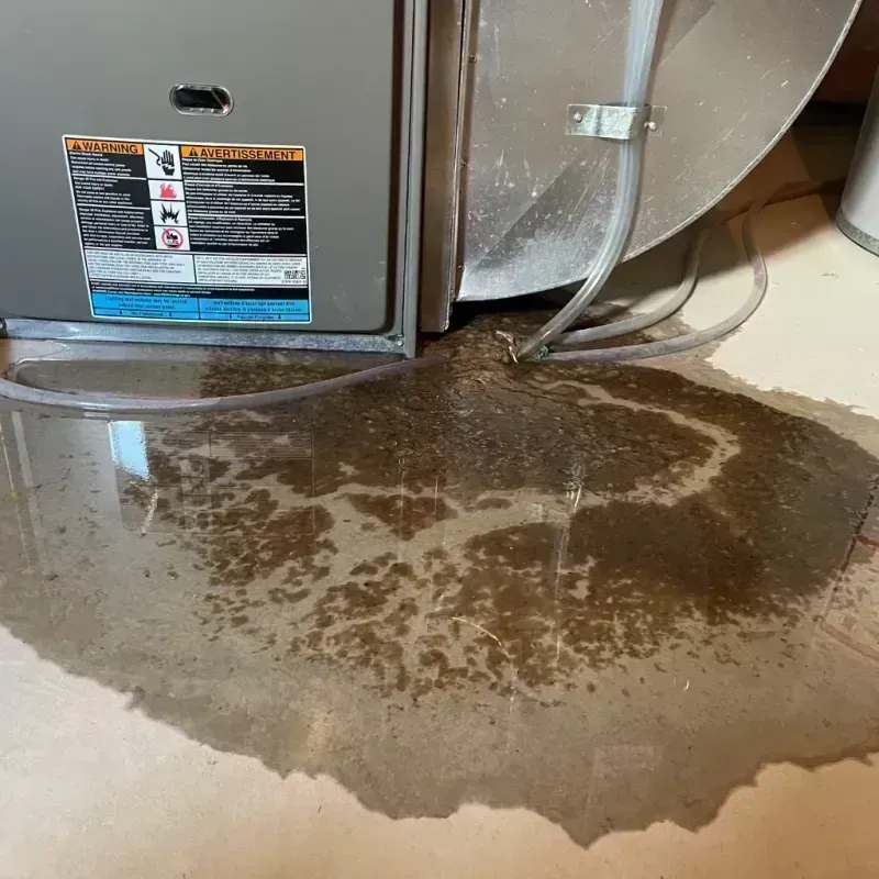 Appliance Leak Cleanup in Meredosia, IL